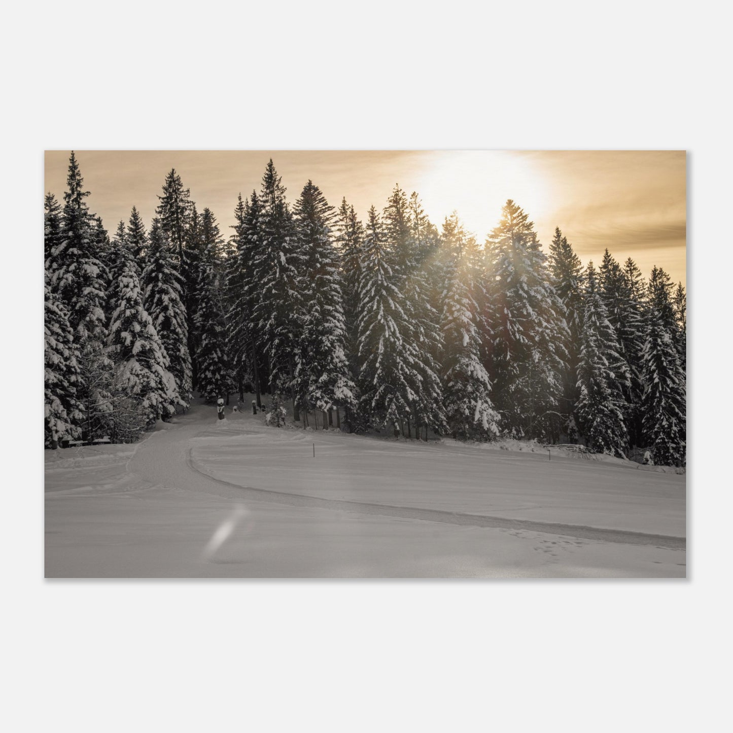 Sonnenstrahlen über verschneitem Wald - Premium Poster