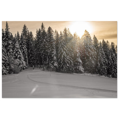 Sonnenstrahlen über verschneitem Wald als Forex-Druck