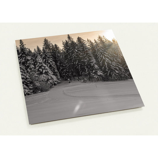 Sunbeams over snowy forest Set of 10 cards (2-sided, with envelopes)