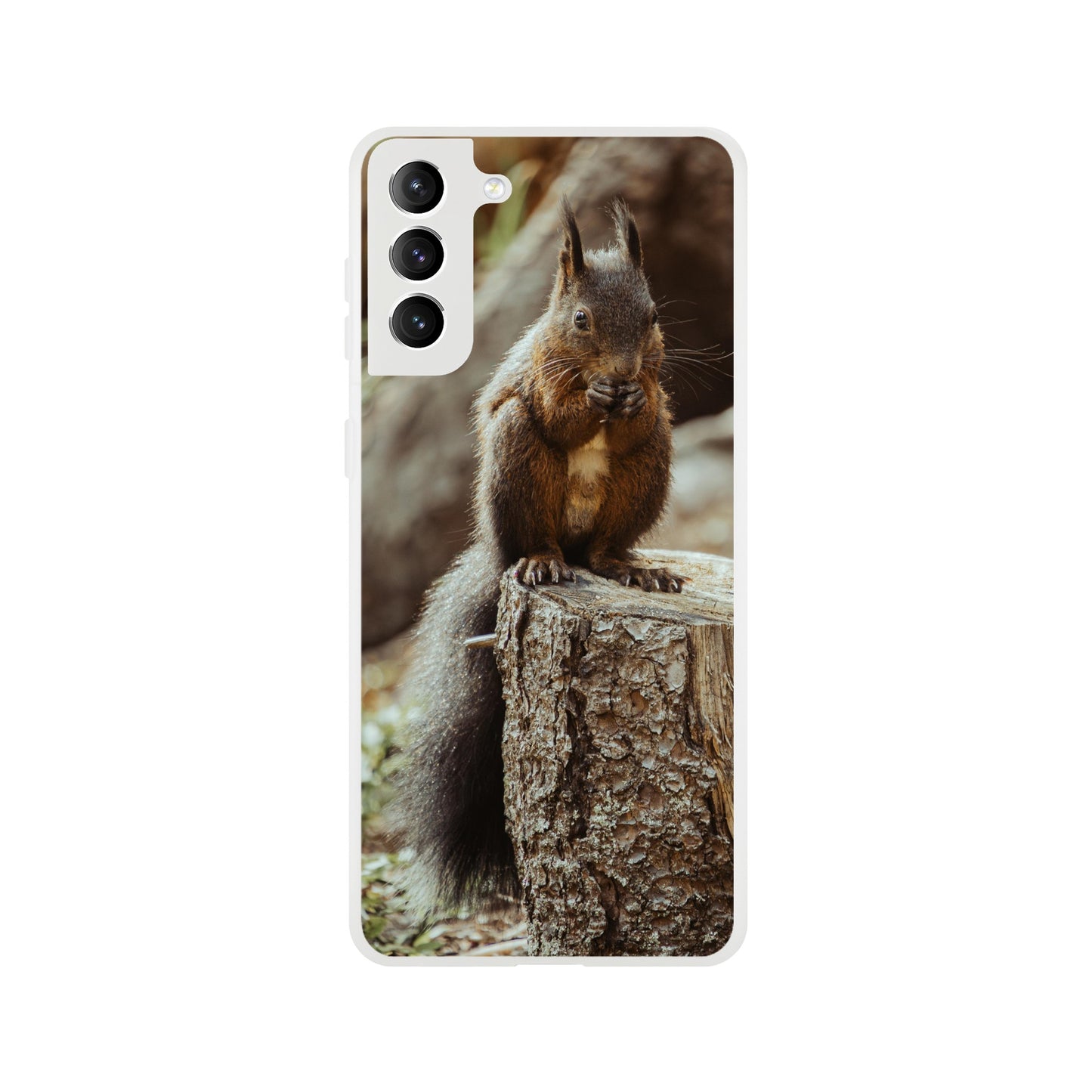 Eichhörnchen im Wald : Flexi-Case Handyhülle für iPhone und Samsung