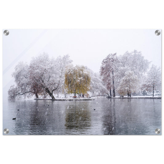 Schneefall im Villettepark - Acrylglasdruck