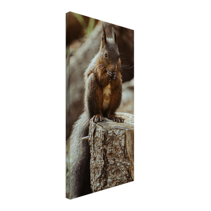 Eichhörnchen im Wald - Leinwand