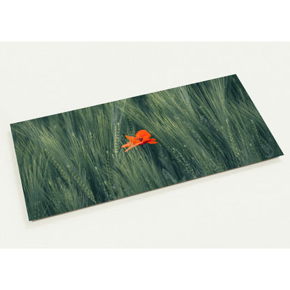 Rote Blume im Grünen Weizenfeld Grusskarten-Set mit 10 Karten (2-seitig, mit Umschläge)