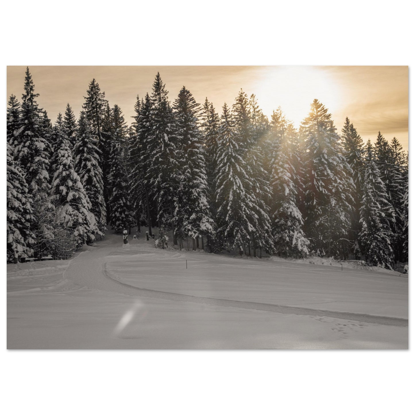 Sonnenstrahlen über verschneitem Wald - Premium Poster