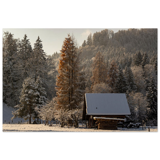 Winterlandschaft - Premium Poster