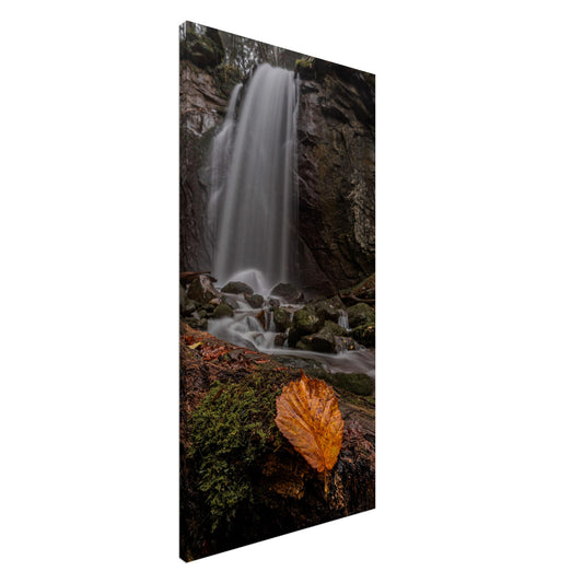 Leinwand - Herbstblatt am Wasserfall