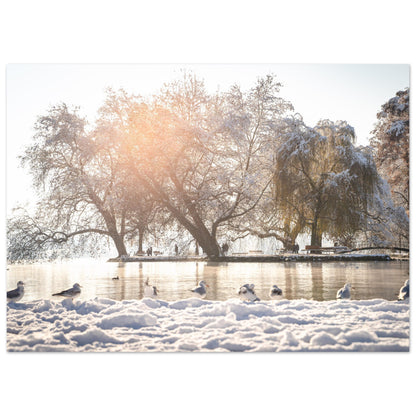 Winter im Villettepark als Forex-Druck