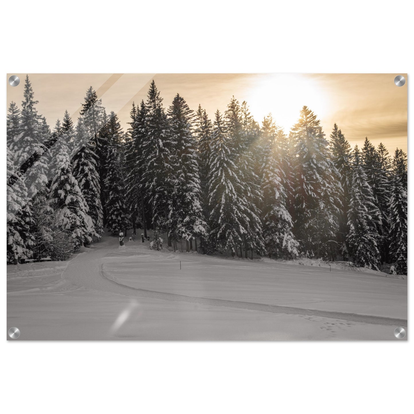 Acrylglasdruck Sonnenstrahlen über verschneitem Wald