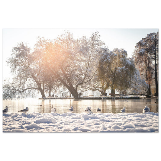Winter im Villettepark als Forex-Druck