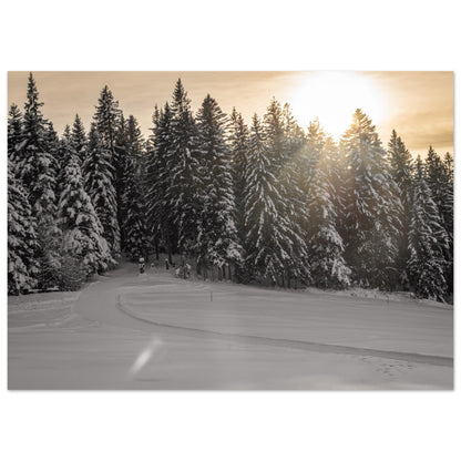 Sonnenstrahlen über verschneitem Wald als Forex-Druck
