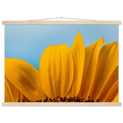 Sonnenblume Nahaufnahme Premium Poster mit Holzeisten