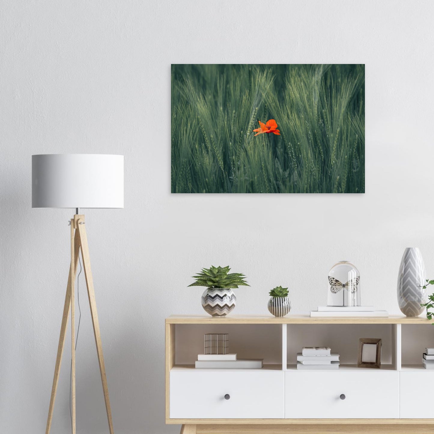 Rote Blume im Grünen Weizenfeld  - Premium Poster