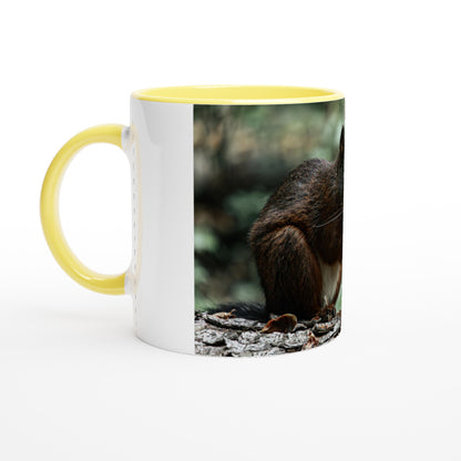 Eichhörnchen Keramiktasse - Farbiger Rand & Griff