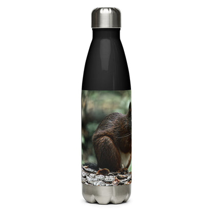 Eichhörnchen - 500 ml Edelstahl Trinkflasche mit Doppelter Isolierung